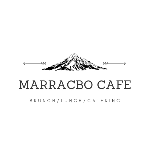 Shree Vinayak Investments ltd